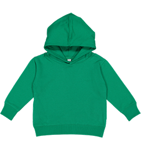 Littles Boys hoodie 1